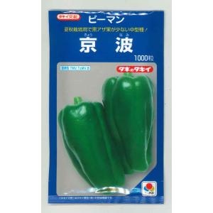 タキイ種苗 レタス ヒートガイ ペレット5000粒 : 種苗・園芸ショップ
