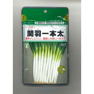 TOHOKU SEED ネギ参謀オンラインショップ - 1dl 取り寄せ】関羽一本太【トーホク種苗】 4袋 関羽一本太葱 香味・薬味野菜