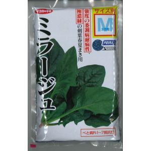 ねぎ 森の奏で ペレット種子5000粒 トキタ種苗 : グリーンロフトネモト