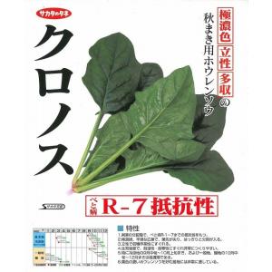 ほうれんそう クロノス 3万粒(種子サイズ:M...の詳細画像1