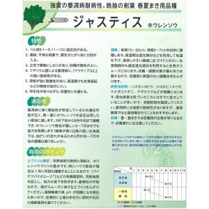 ほうれんそう ジャスティス 3万粒(種子サイズ...の詳細画像2