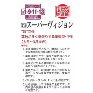 ほうれんそう スーパーヴィジョン 3万粒(種子...の詳細画像1