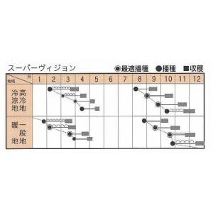 ほうれんそう スーパーヴィジョン 3万粒(種子...の詳細画像3