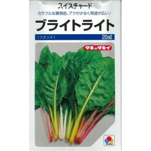 スイスチャード ブライトライト(フダンナ) 20ml タキイ種苗（株）