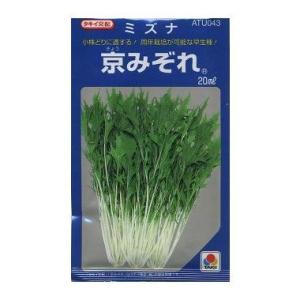 水菜 京みぞれ 20ml タキイ種苗(株)の商品画像