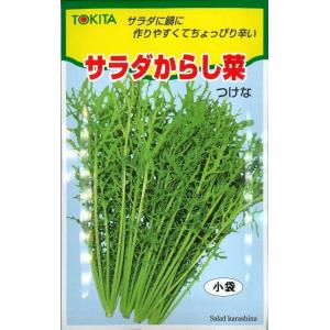 ねぎ 吉蔵 2dl（株）武蔵野種苗園 : グリーンロフトネモト - 通販