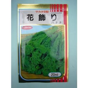 ハナナ はなな 花飾り 20ml （株）サカタのタネ