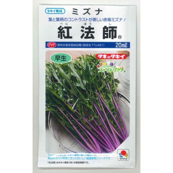 水菜 紅法師 20ml タキイ種苗（株）