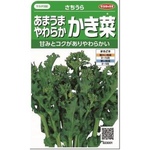 かき菜 さちうら 約800粒 (株)サカタのタネ 実咲350 (002967)