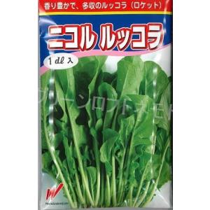 レタス ヒートガイ ペレット種子5000粒 タキイ種苗（株） : グリーン