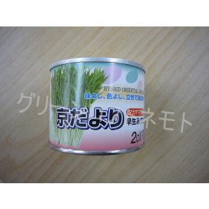 水菜 京だより 2dl (約50,500粒)(株...の商品画像