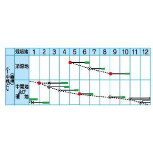 水菜 京だより 2dl (約50,500粒)(...の詳細画像1