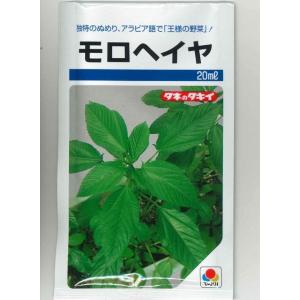 モロヘイヤ 20ml タキイ種苗(株)の商品画像