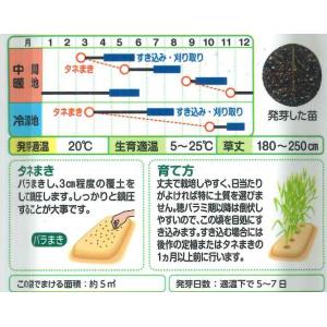 緑肥 らい麦 ライ太郎 60ml タキイ種苗(株)の詳細画像1