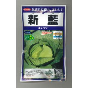 キャベツ 新藍 ペレット種子 100粒 （株）サカタのタネ 実咲PRO550（104967）