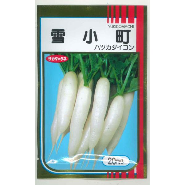 二十日大根 はつかだいこん  雪小町 20ml （株）サカタのタネ