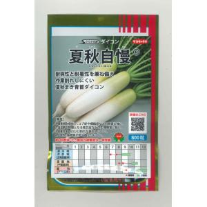 大根 夏秋自慢 800粒 (株)サカタのタネの商品画像