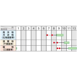大根 夏秋自慢 800粒 (株)サカタのタネの詳細画像1