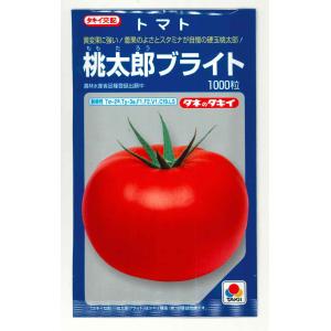 大玉トマト 桃太郎ブライト 1000粒 タキイ種苗（株）