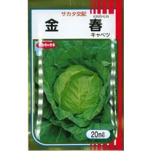キャベツ 金春 20ml （株）サカタのタネ