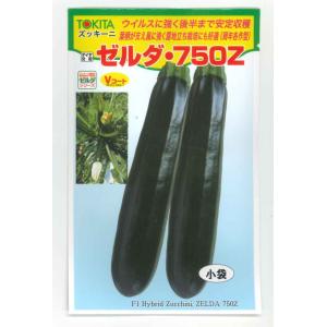 ズッキーニ ゼルダ・750Z(TSX-750Z) 10粒 TOKITA