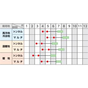 とうもろこし ゆめのコーンビッグ85 2000...の詳細画像1
