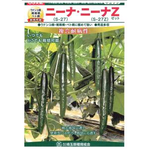 きゅうり ニーナZ 350粒 (株)埼玉原種育成会の詳細画像1