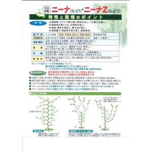 きゅうり ニーナZ 350粒 (株)埼玉原種育成会の詳細画像2