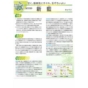 キャベツ 新藍 2000粒(株) サカタのタネの詳細画像3