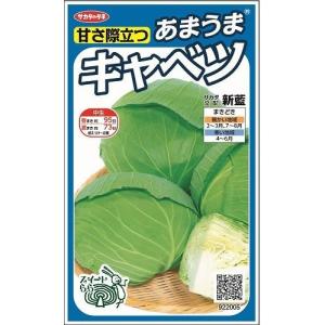 SK9-099 ブロッコリー種子 2000粒 【野菜種子】【サカタのタネ