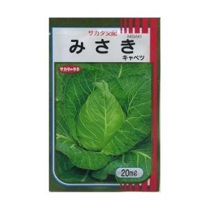 キャベツ みさき 20ml (株)サカタのタネの商品画像