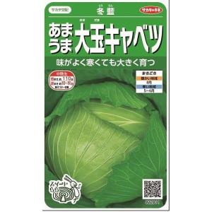SK9-099 ブロッコリー種子 2000粒 【野菜種子】【サカタのタネ