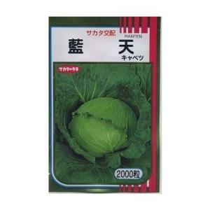 ねぎ 森の奏で ペレット種子5000粒 トキタ種苗 : グリーンロフトネモト