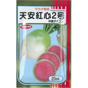 中国大根 天安紅心2号 20ml サカタのタネ