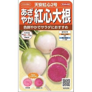 紅芯大根 種の商品一覧 通販 Yahoo ショッピング