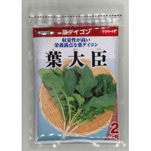葉大根 葉大臣 2dl（株）サカタのタネ