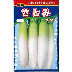 大根 さとみ大根 1000粒 渡辺農事(株)の商品画像