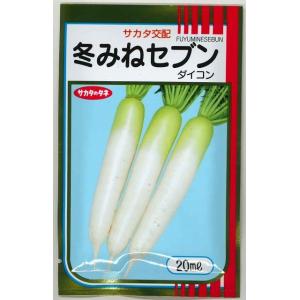 大根 冬みねセブン 20ml （株）サカタのタネ