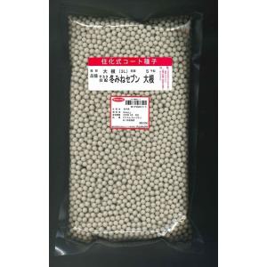 大根 冬みねセブン ペレット5000粒 （株）サカタのタネ