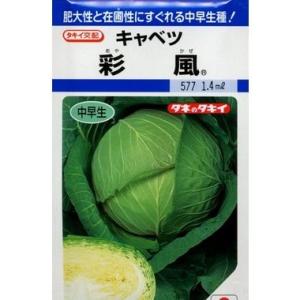 キャベツ 彩風 1.2ml(約150粒) タキイ種苗（株） DF