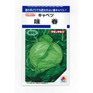 キャベツ 味春 1.2ml(約160粒) タキイ種苗 （株）DF