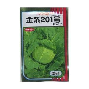 【匿名発送】まとめ買いがさらに安い！ブロッコリー種子（おはよう）2個 ブロッコリー おはよう(R)｜種（タネ）,球根,苗,資材