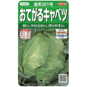 SK9-099 ブロッコリー種子 2000粒 【野菜種子】【サカタのタネ