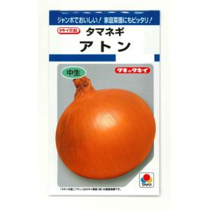 たまねぎ アトン 5.5ml (約650粒) タキイ種苗 (株)DF