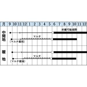 たまねぎ アトン 5.5ml (約650粒) ...の詳細画像1