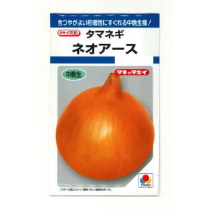 たまねぎ ネオアース 4.5ml (約650粒) タキイ種苗 (株) DF