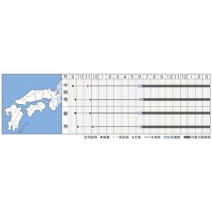 たまねぎ ケルたま 20ml タキイ種苗(株)の詳細画像1