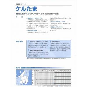 たまねぎ ケルたま 20ml タキイ種苗(株)の詳細画像4