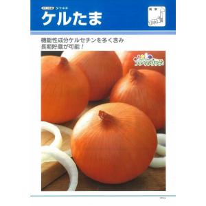 たまねぎ ケルたま 4.5ml (約390粒)...の詳細画像2