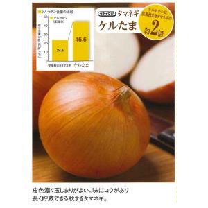 たまねぎ ケルたま 4.5ml (約390粒)...の詳細画像3